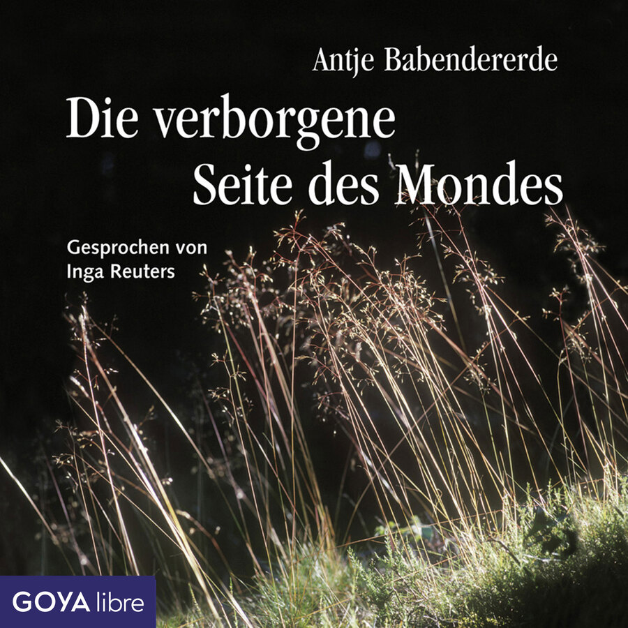 Cover Die verborgene Seite des Mondes